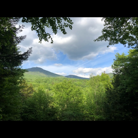 Meet your Posher, Allison - Picture 1 of 1